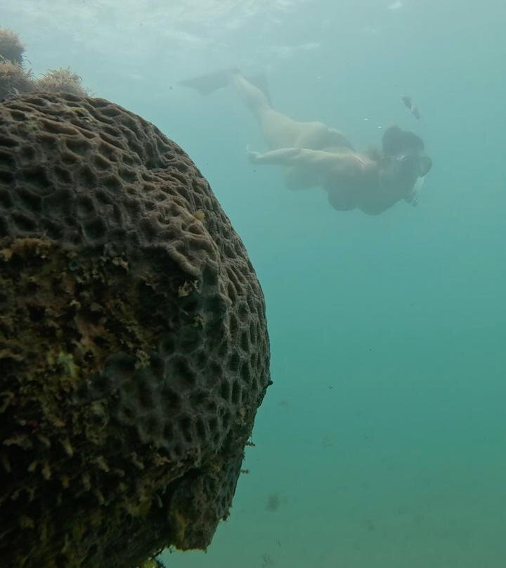 Mergulho Consciente-Taipus de Fora必去景点