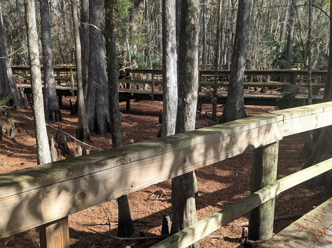 Babcock Ranch Preserve-蓬塔戈尔达必去景点