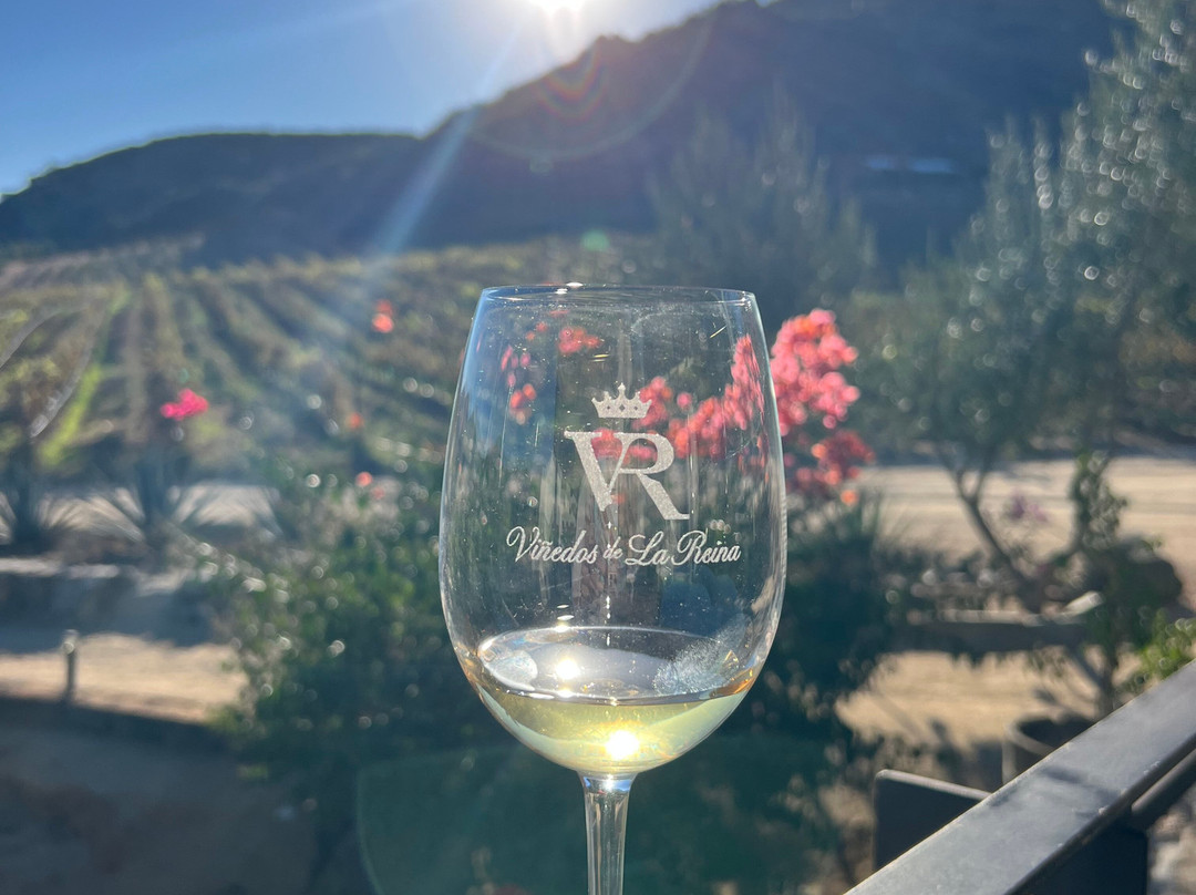 Viñedos de la Reina-Valle de Guadalupe必去景点