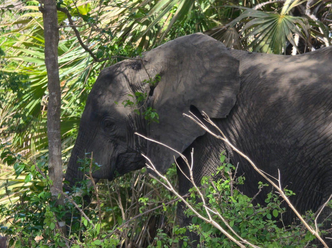 Shammah Wonders Safari Ltd-莫西必去景点