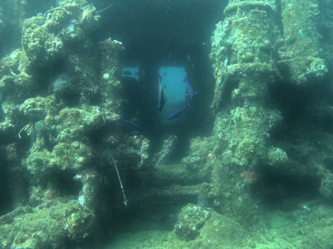 Palm Beach Divers-Noord必去景点