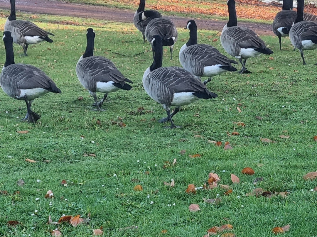 Drielandenpunt-Vaals必去景点