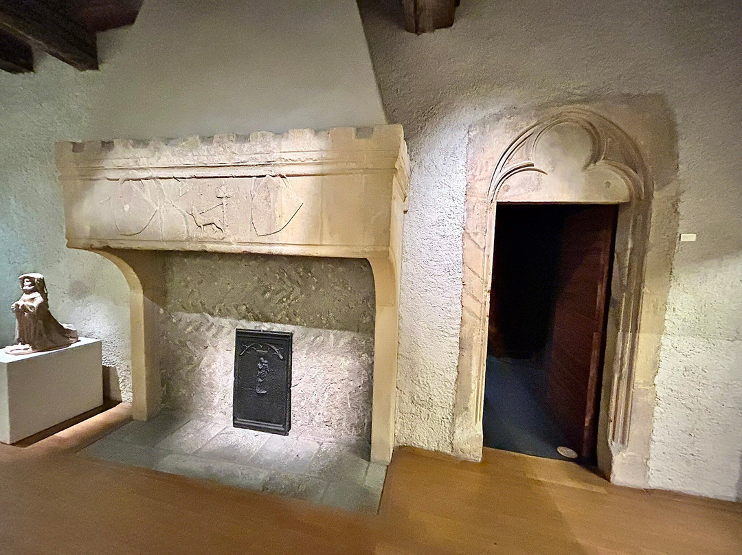 Museum of La Cour d'Or-梅斯必去景点