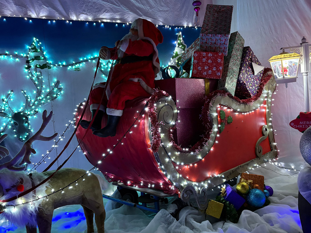 Tweddle Children's Animal Farm-哈特尔普尔必去景点