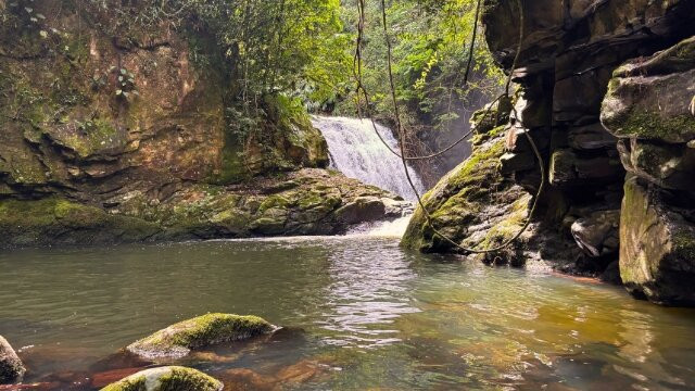 Eco Park Alta Mira-Sao Francisco de Paula必去景点