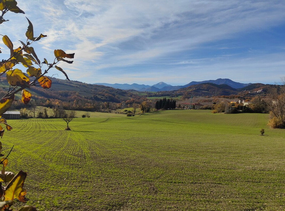 Museo Comunale della Miniera di Zolfo di Cabernardi-Sassoferrato必去景点