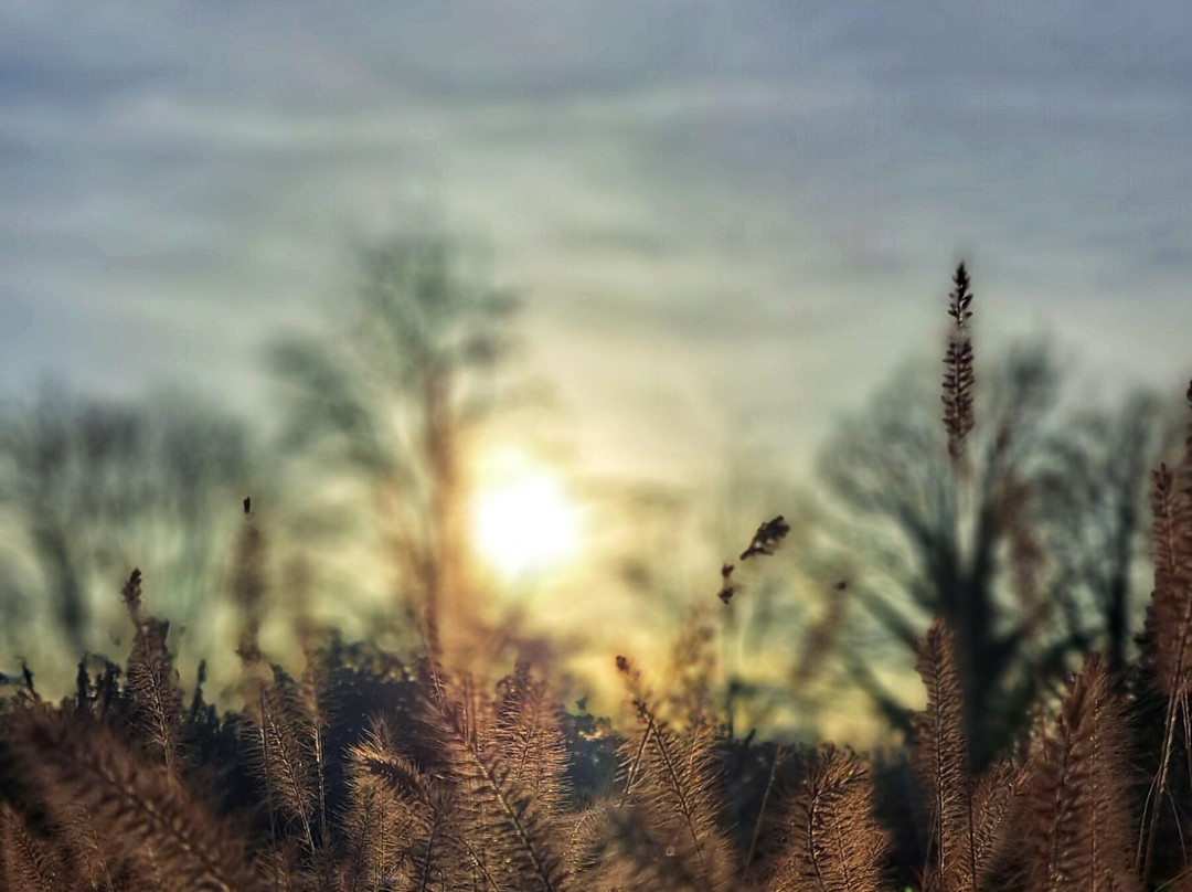 斯特仁堡精品酒店主图