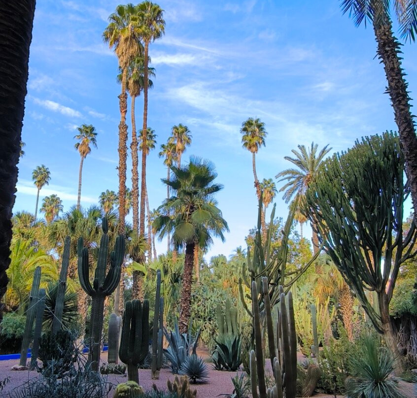 Siroco Tours-卡萨布兰卡必去景点