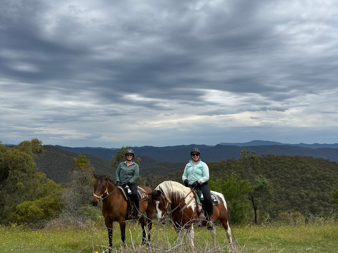 Watson's Mountain Country Trail Rides - Day Tours-曼斯菲尔德必去景点