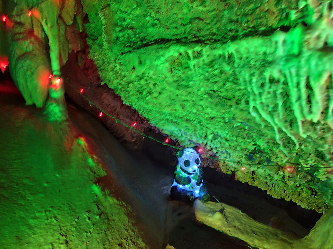 La Grotte de Trabuc-Mialet必去景点