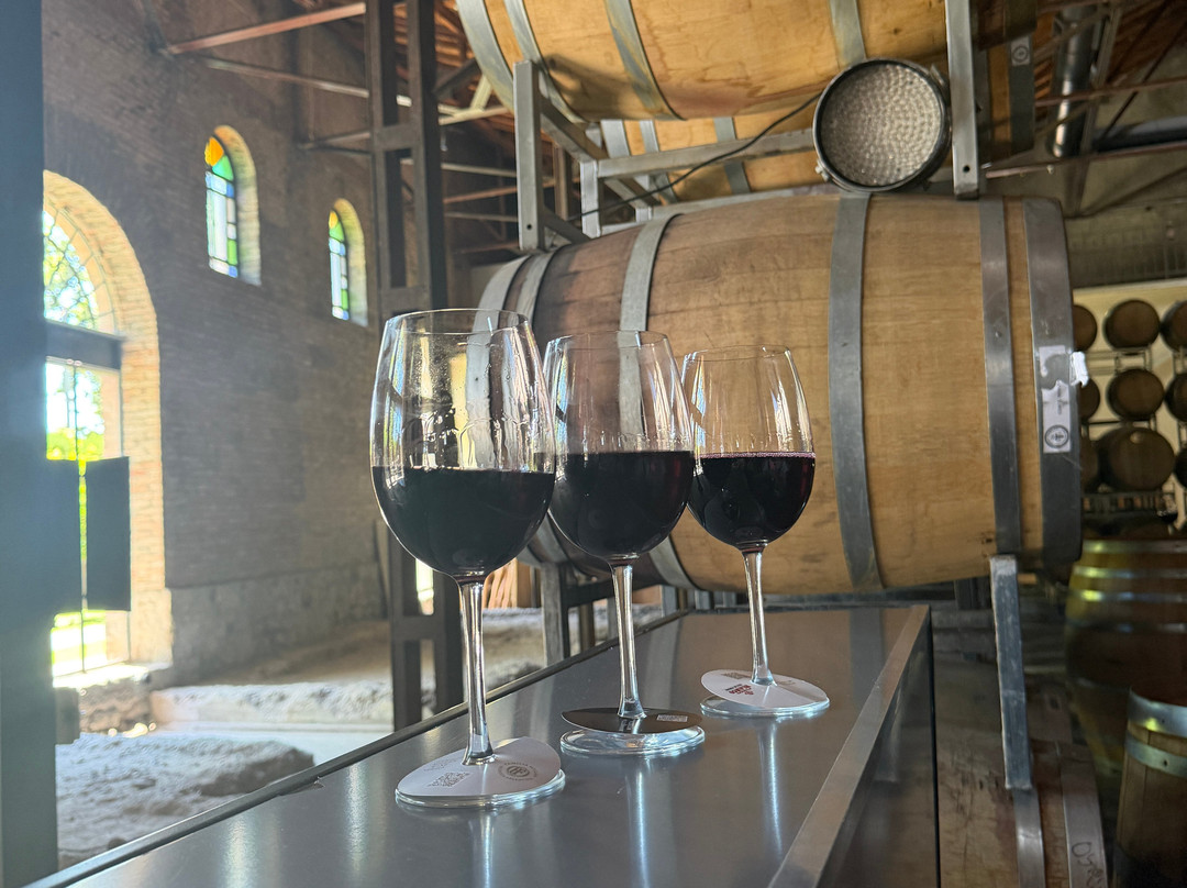 Bodega Los Toneles-门多萨必去景点