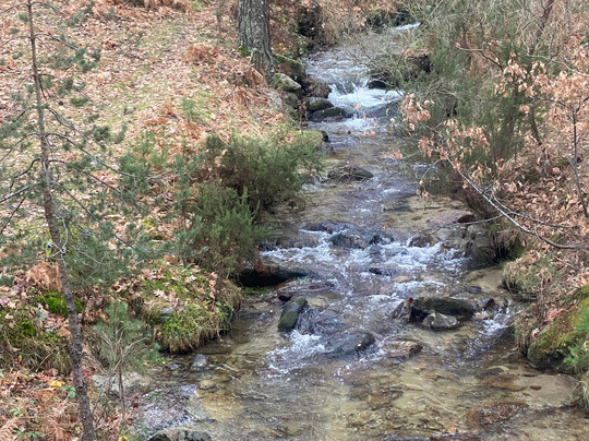 Casa Rural La Querencia主图