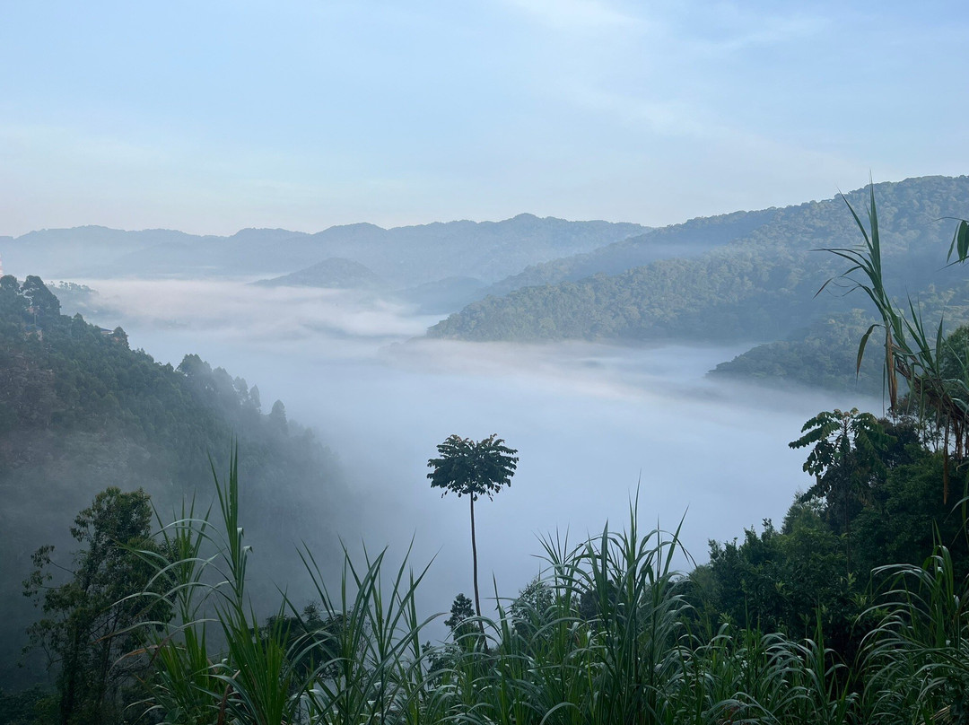 Go Gorilla Trekking-吉佳利必去景点