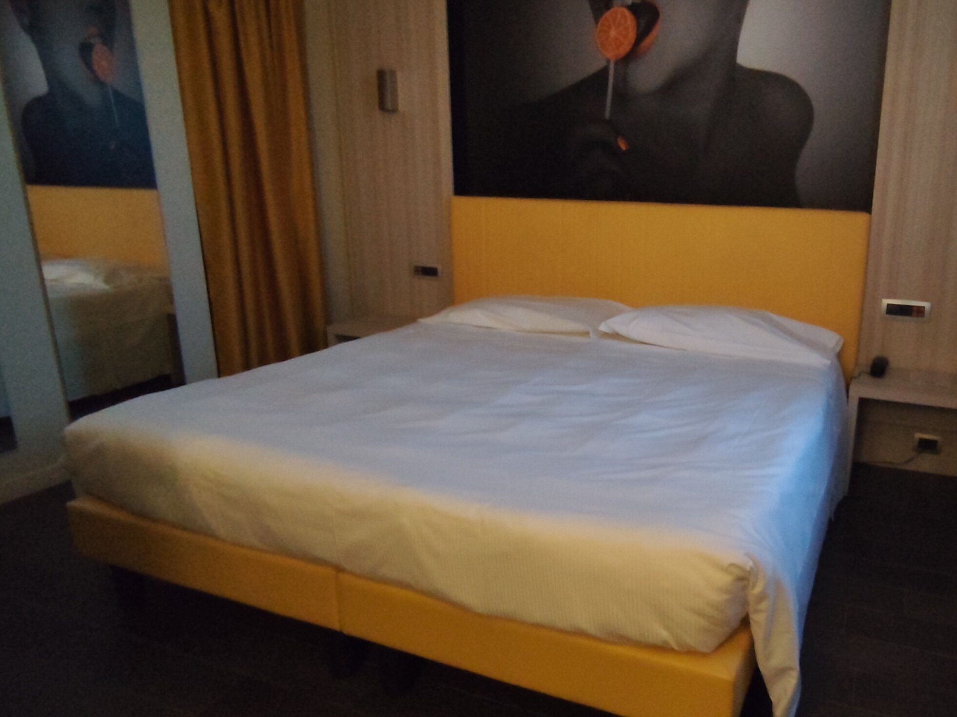 Camelia Hotel-官方