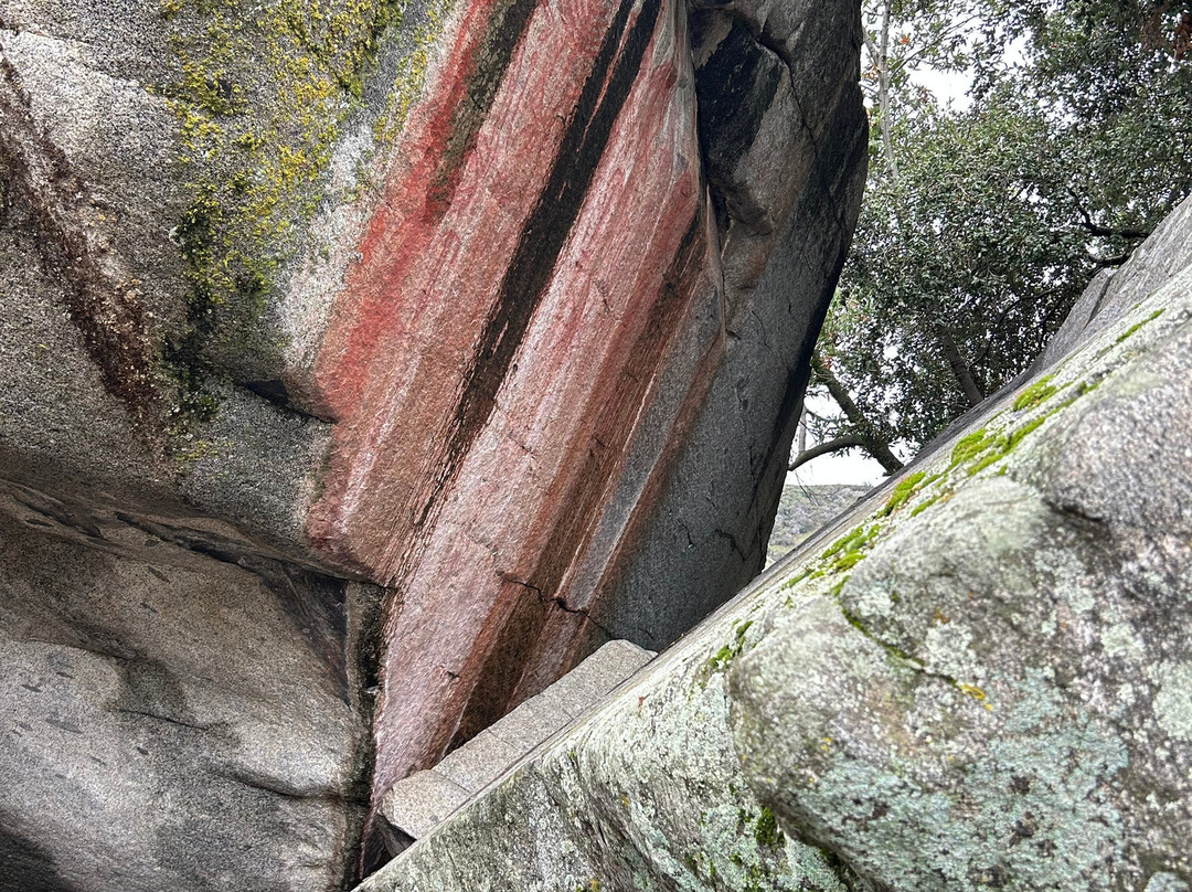 Sequoia National Park-维塞利亚必去景点