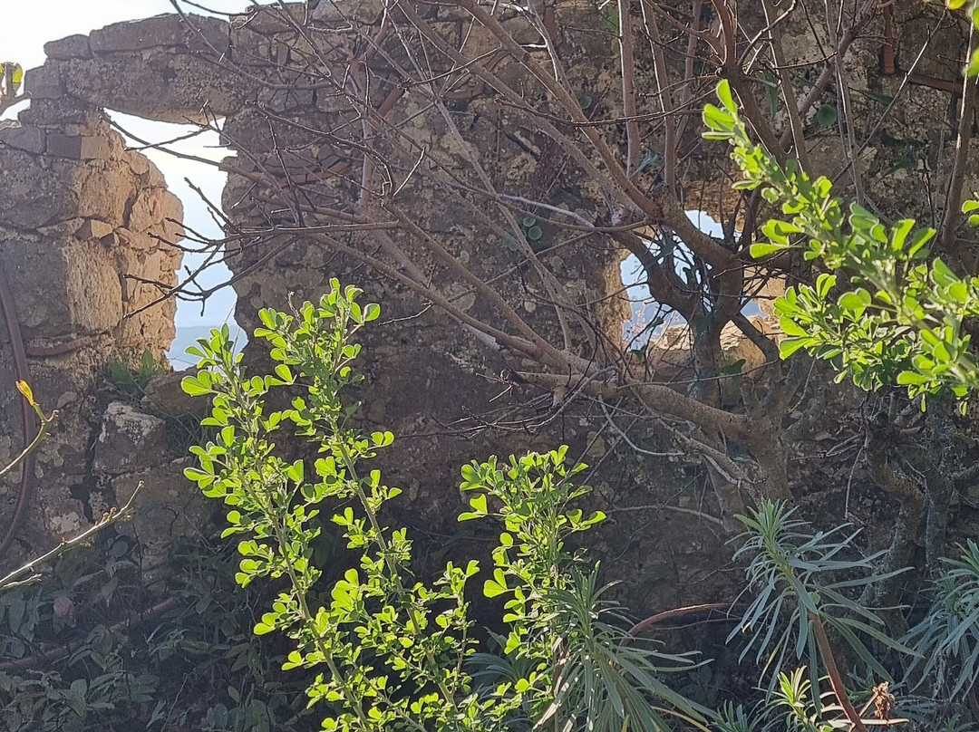 Chateau Et Jardin Medieval-Sainte-Agnes必去景点