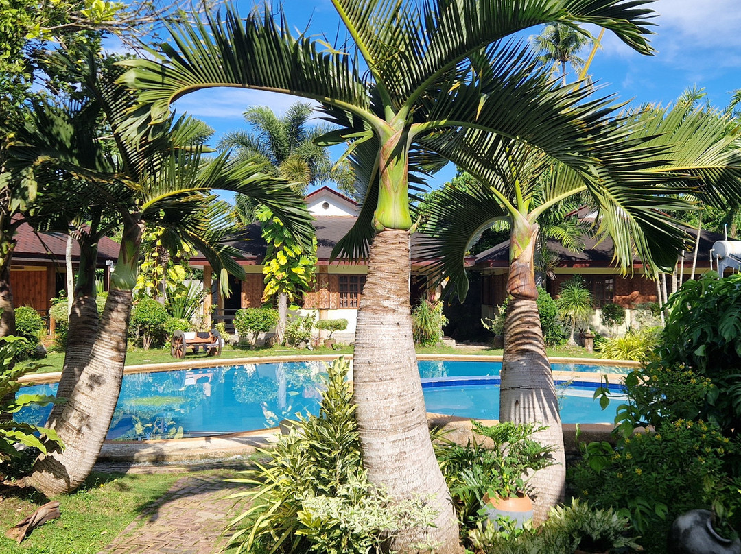 维娜尼特度假村主图