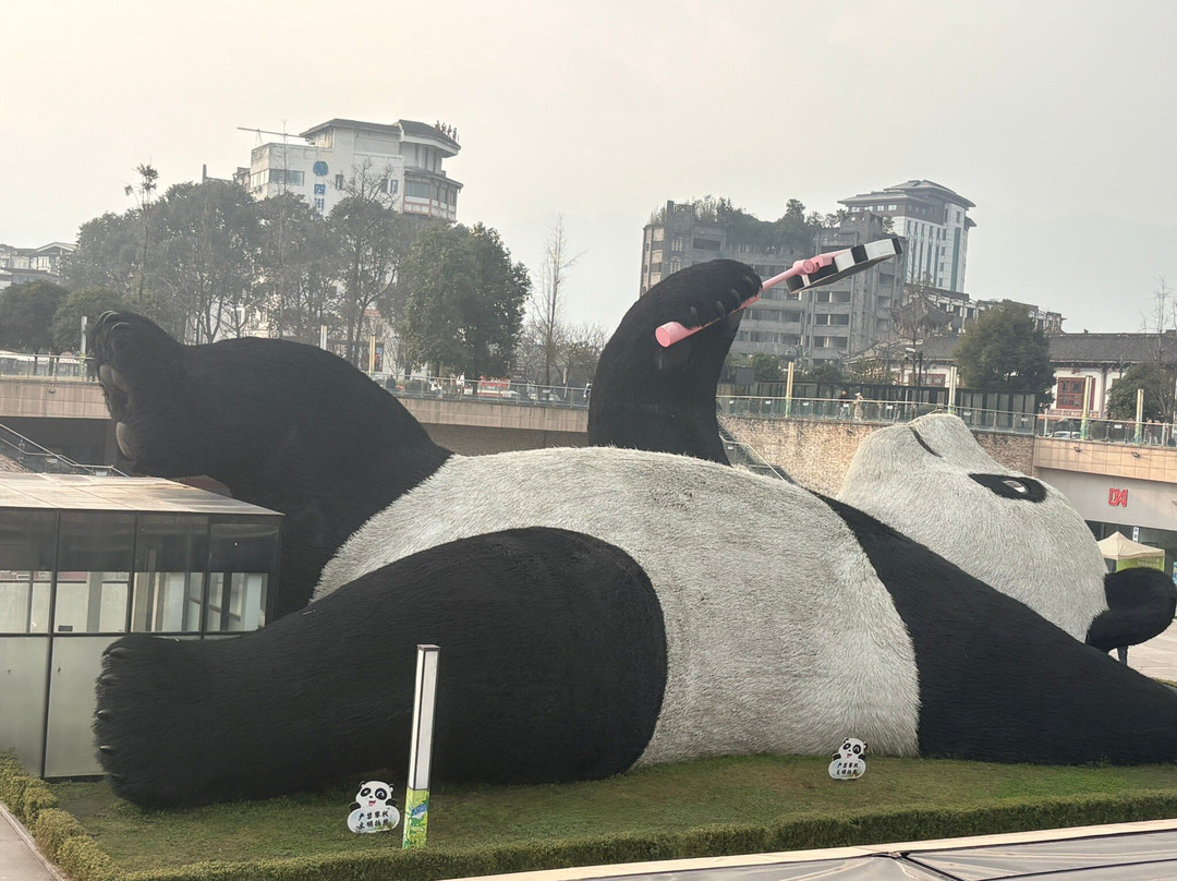 Chengdu Explorer-成都必去景点