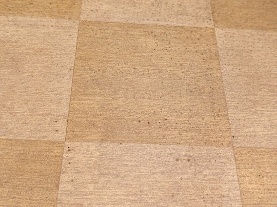 Best Western Plus Best Westerni Airport Hotel - Arundel Mills主图