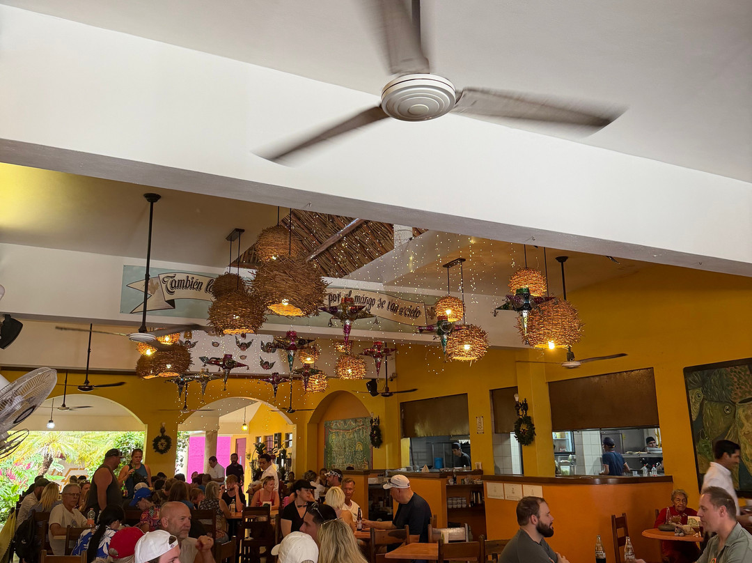 Tours by Milo-科托尔必去景点