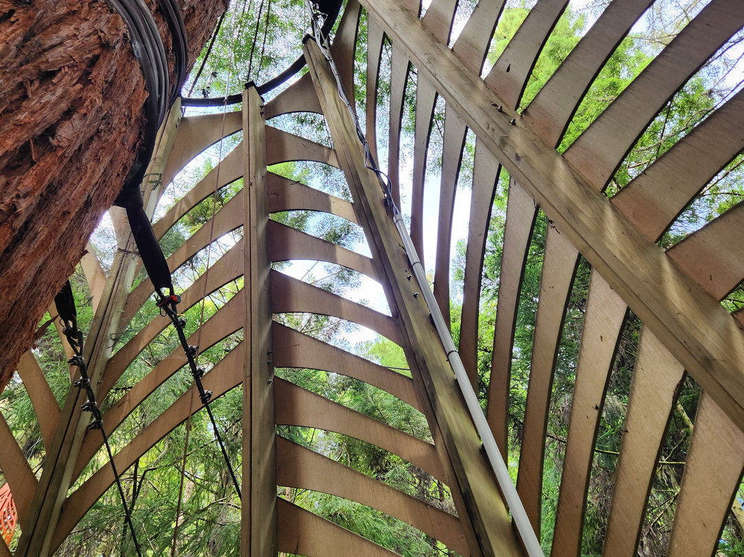 A Day in the Bay-Papamoa必去景点