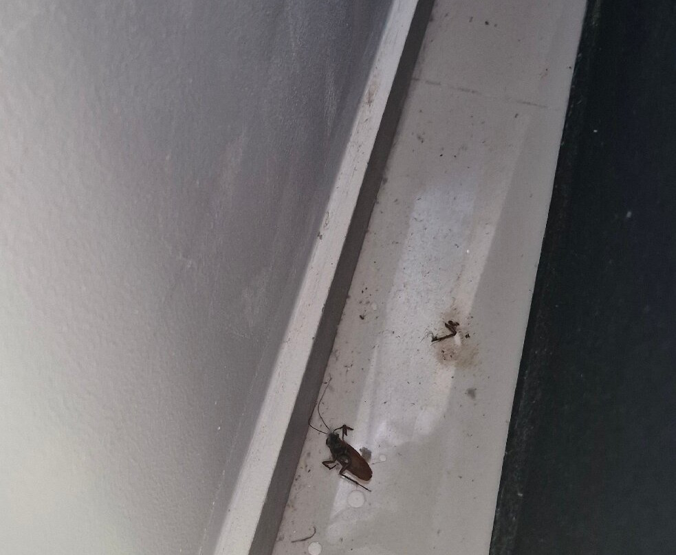 阿佐什旅游宾馆主图