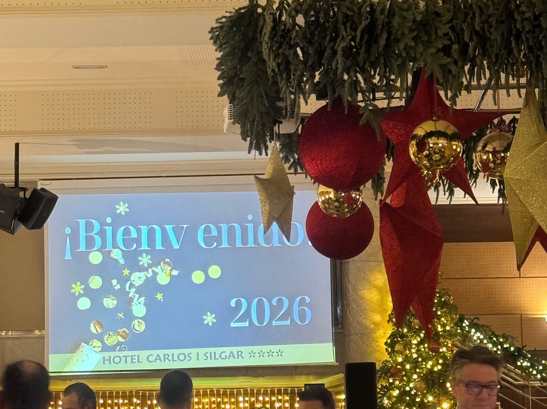 卡洛斯一世希尔加酒店主图