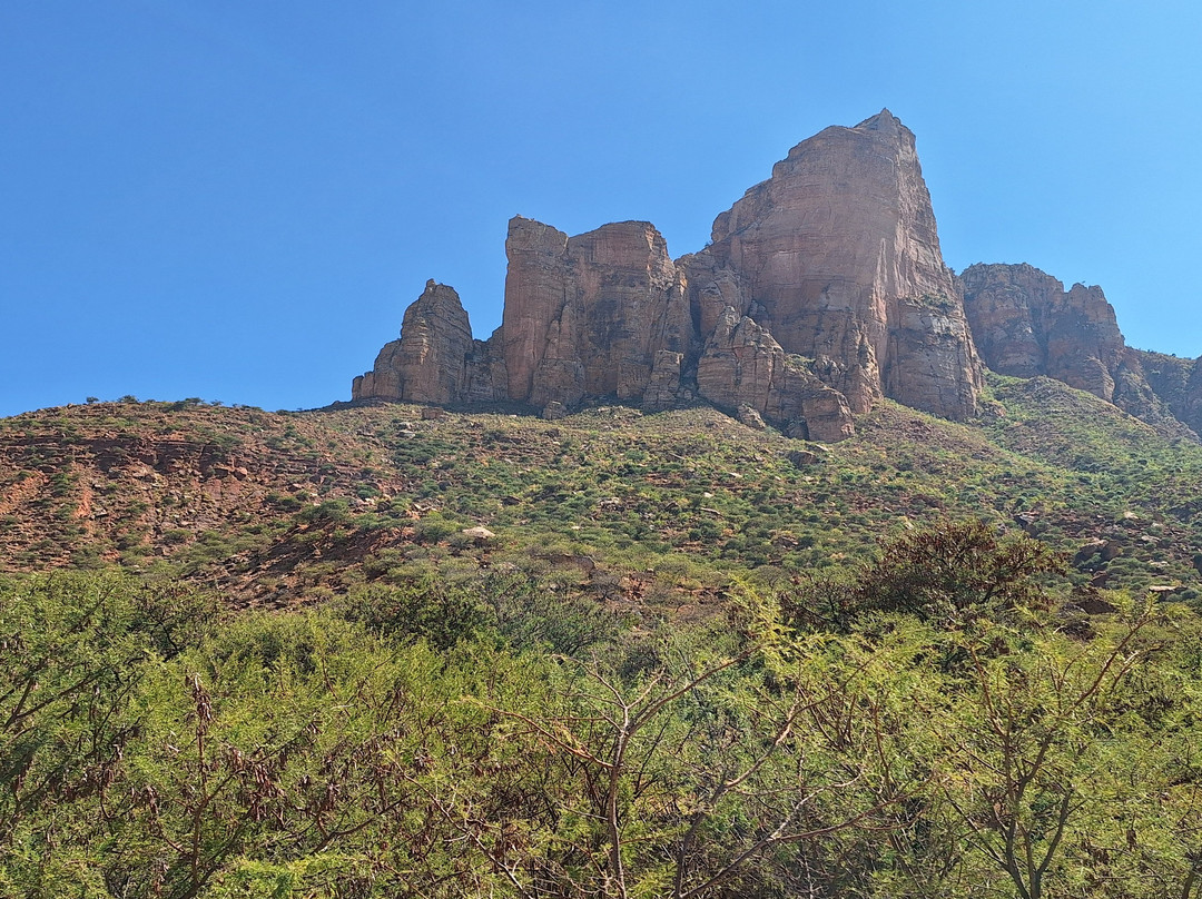 Simen Land Tours-亚的斯亚贝巴必去景点