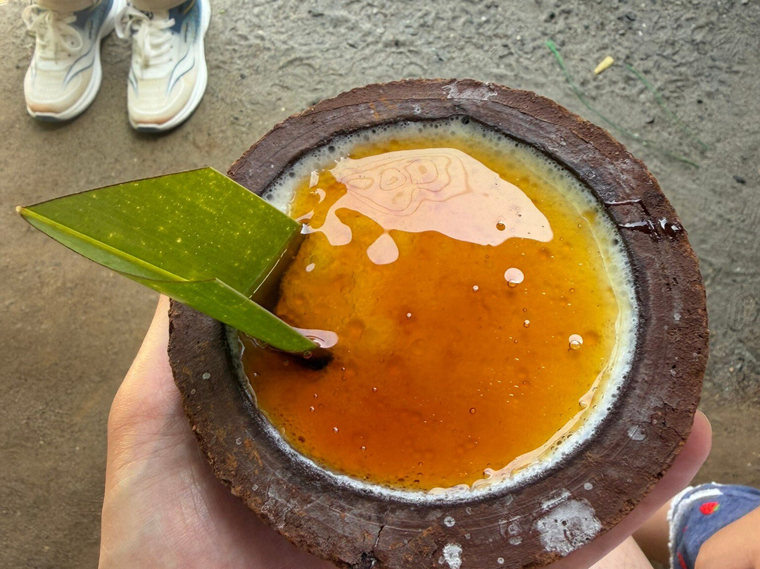 Private Circle Tours Sri Lanka-Elpitiya必去景点