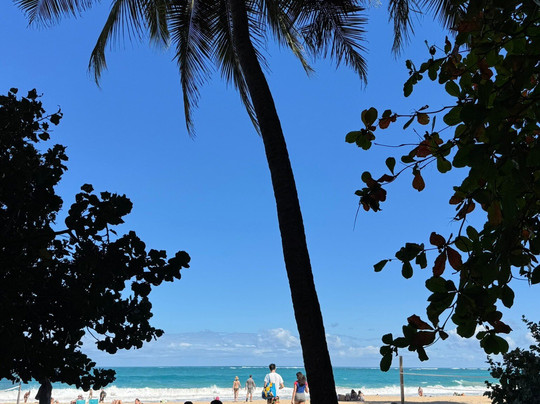 Ocean Park-圣胡安必去景点