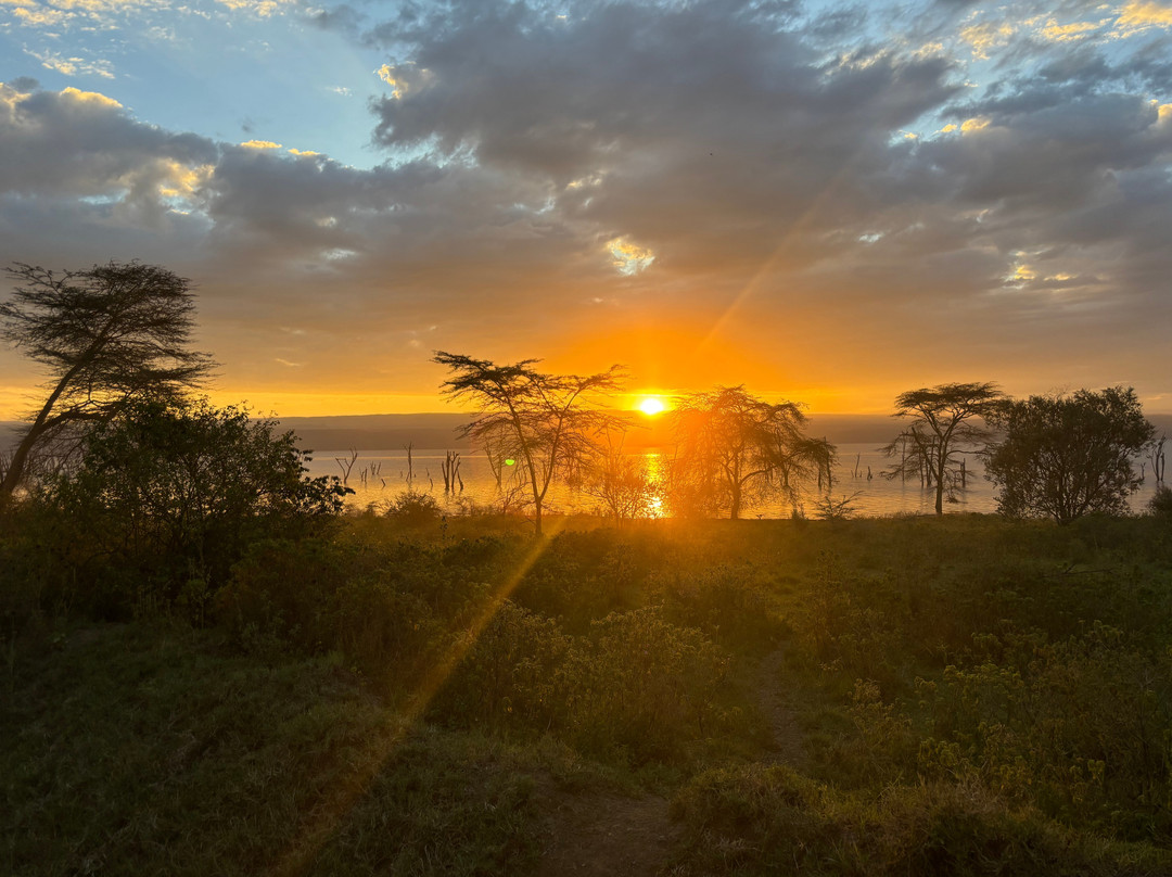 Nature Insight Safaris-内罗毕必去景点