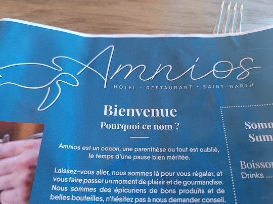 Hôtel Villa Lodge 4 Epices主图