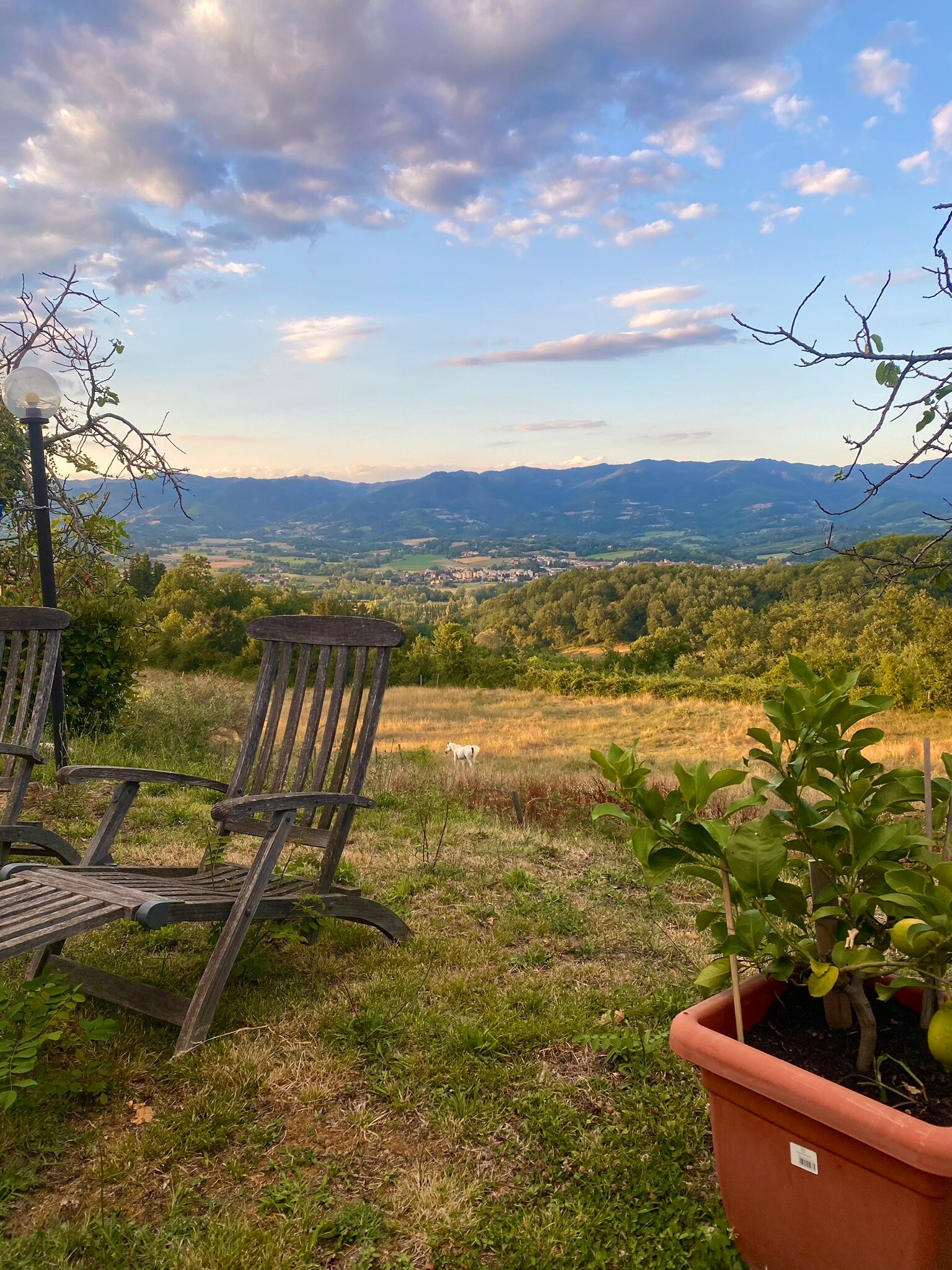 SommaVilla B&B-官方