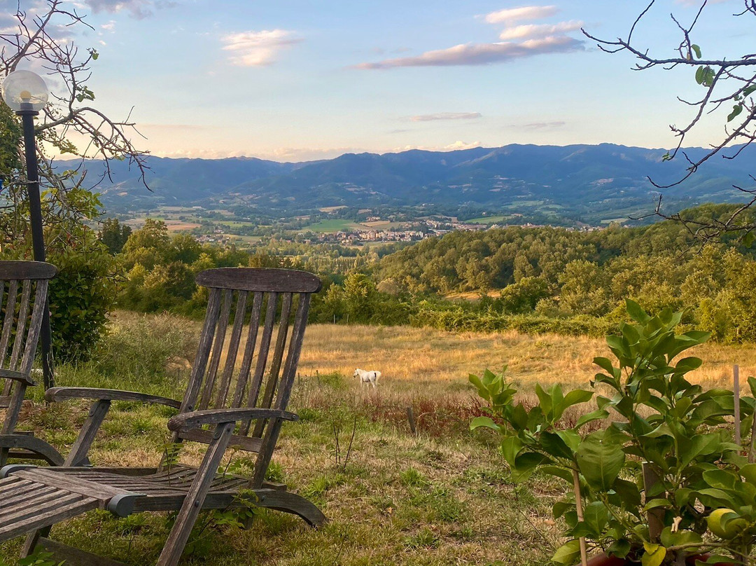 SommaVilla B&B主图