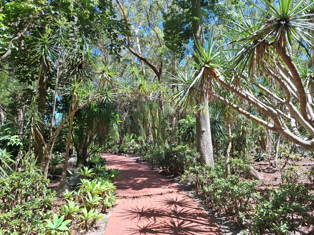 Hunter Region Botanic Gardens-史蒂芬斯港必去景点