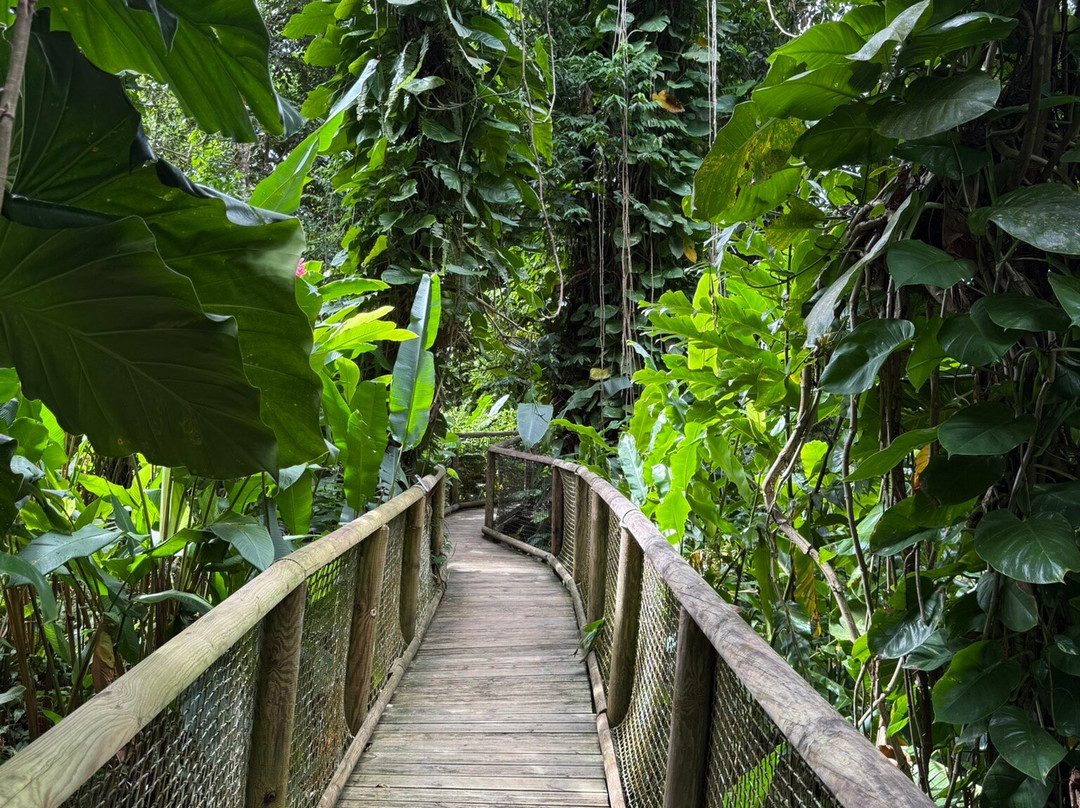 Zoo De Guadeloupe Au Parc Des Mamelles-Bouillante必去景点