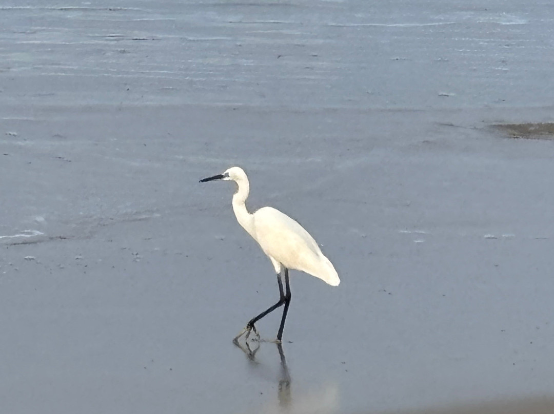 Learning Trails-柯钦必去景点
