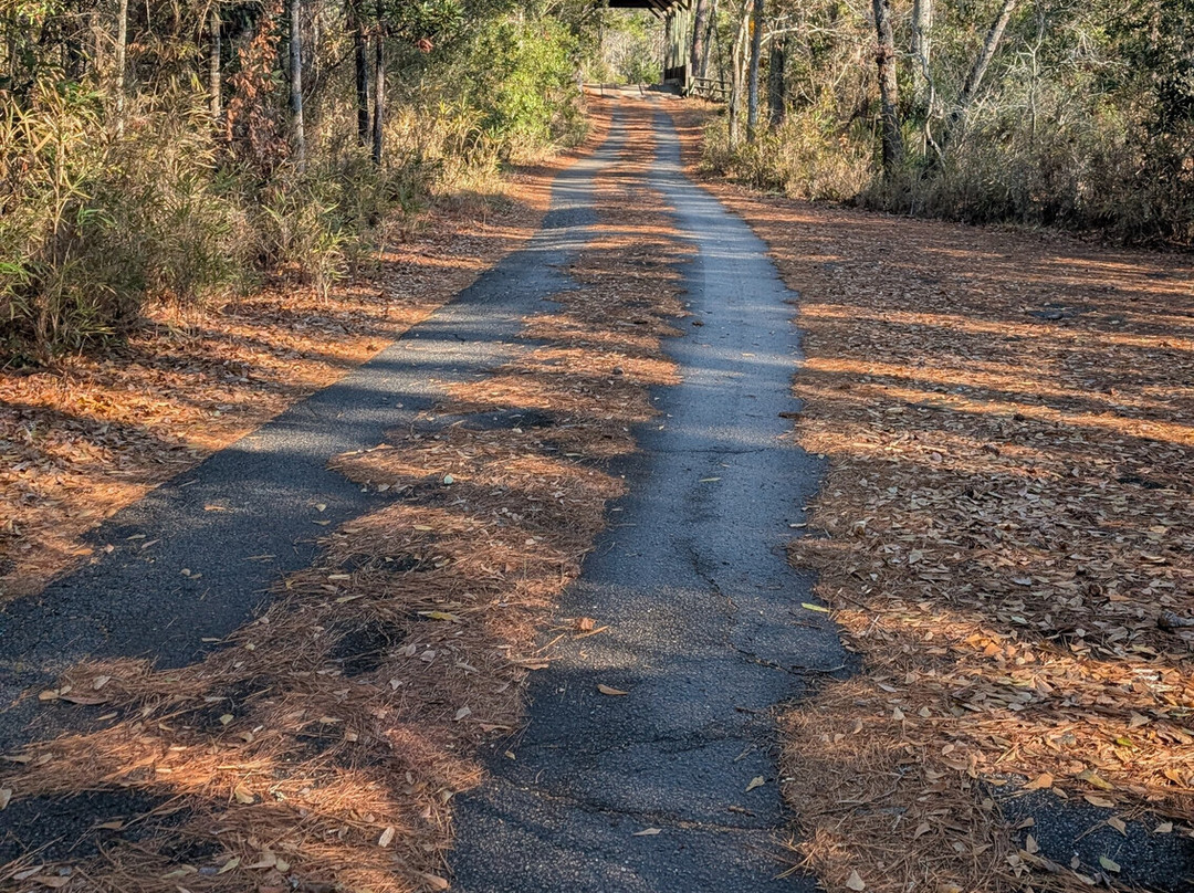 Kitty Hawk Woods Reserve-Kitty Hawk必去景点