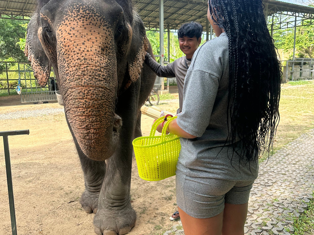 The Lake Phuket Elephant Home-Thep Krasatti必去景点