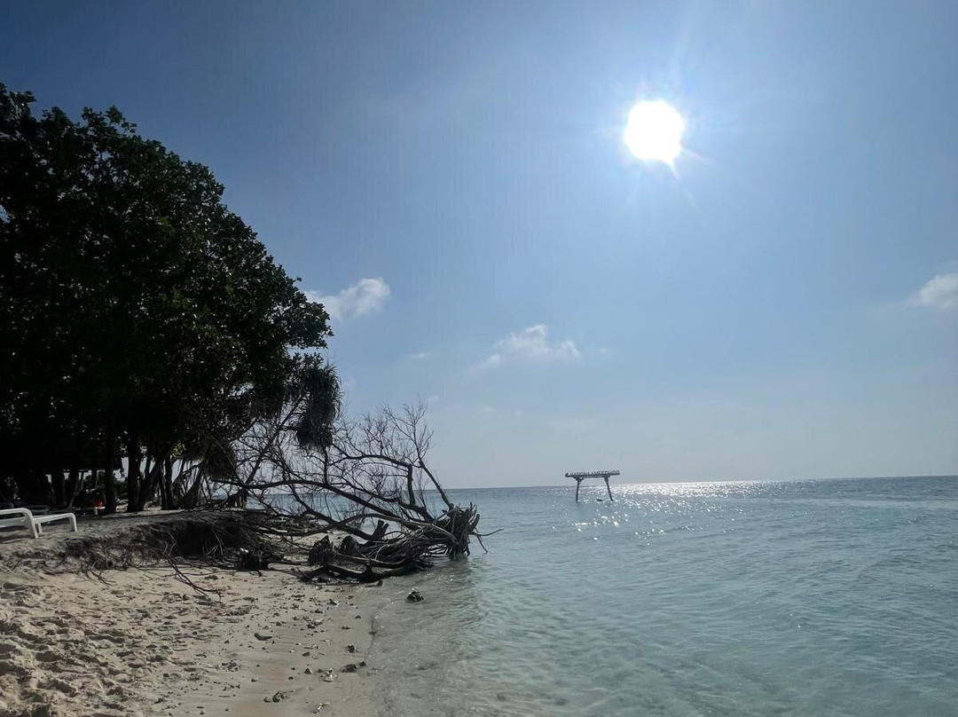 Beach Star Maldives主图