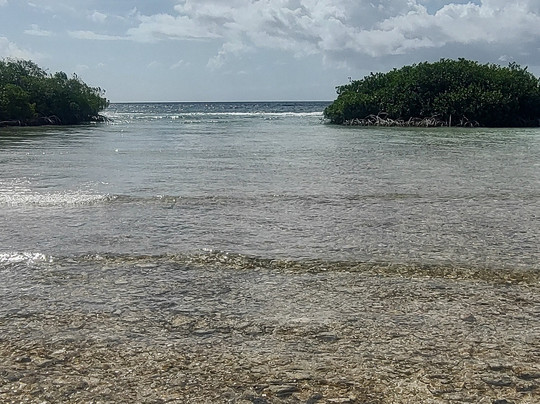 Mangel Halto Beach-萨瓦内塔必去景点