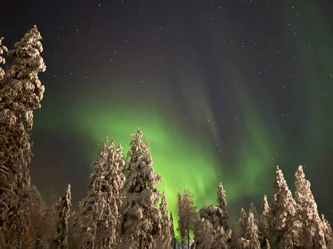 North Wind Lapland-Yllasjarvi必去景点