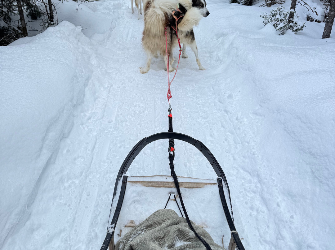 Le Chenil du Sportif-Charlevoix必去景点