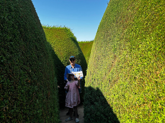 Maze House-Newlyn必去景点