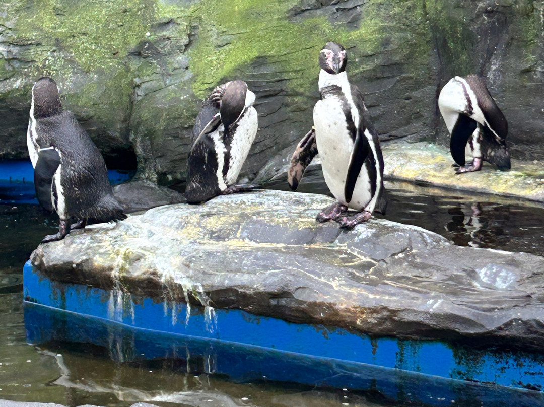 SEA LIFE Hunstanton-Hunstanton必去景点