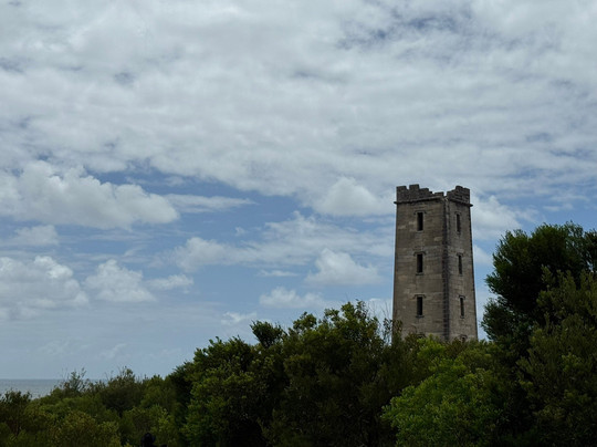Ben Boyd Tower-伊登港必去景点
