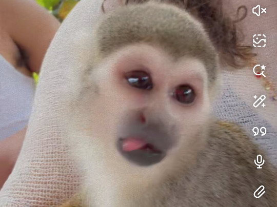 Monkey Home Puerto Plata-普拉塔港必去景点