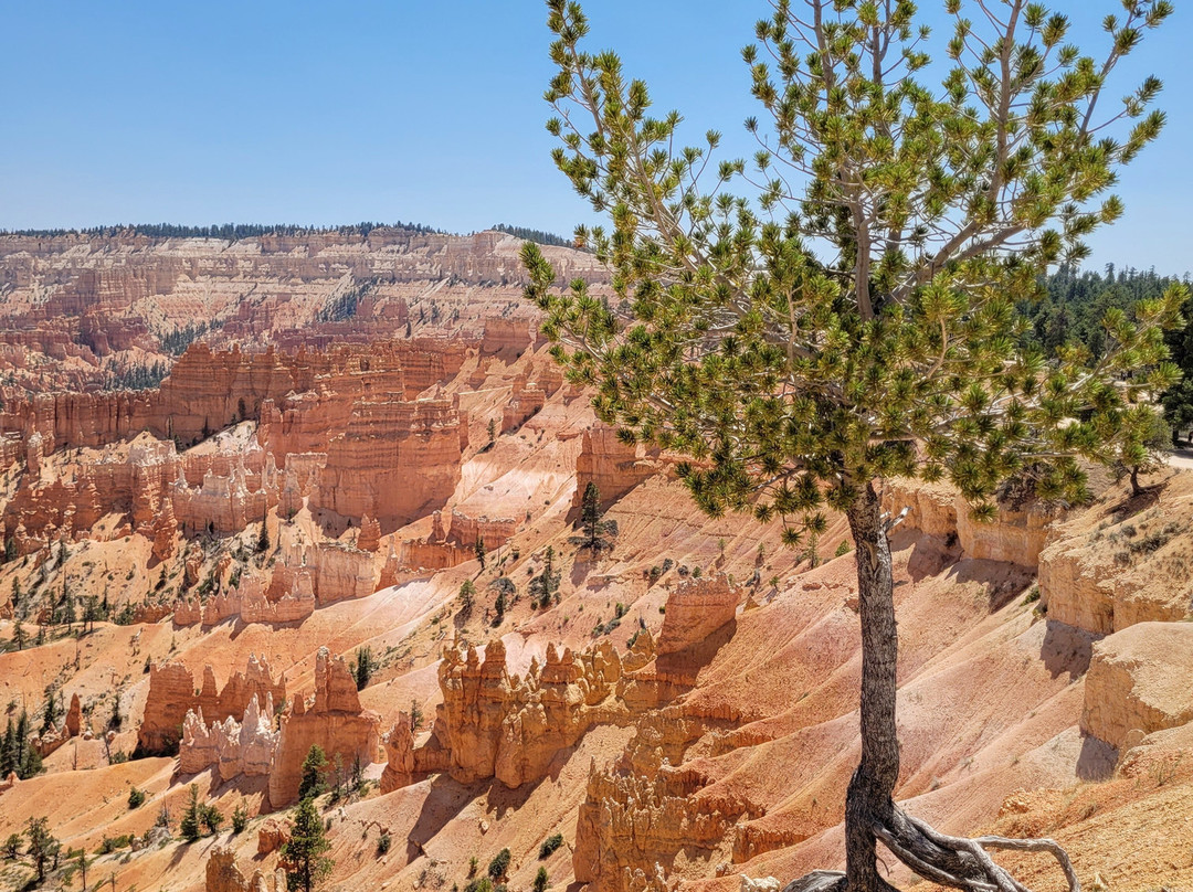Sunrise Point-布莱斯峡谷国家公园必去景点