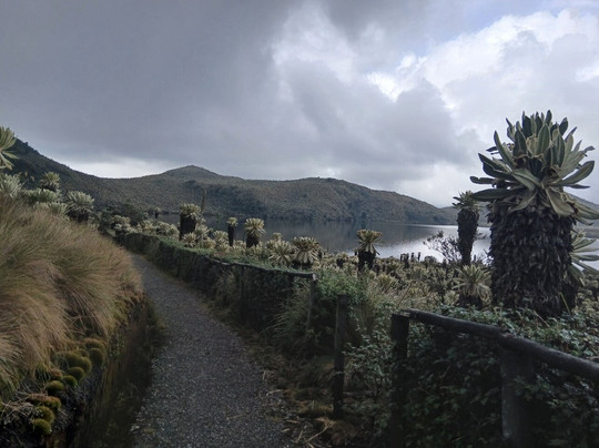 Reserva Ecologica El Ángel-El Angel必去景点