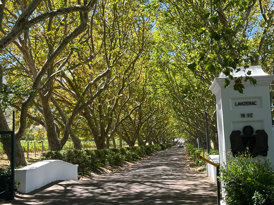 Lanzerac Wine Estate-斯泰伦博斯必去景点